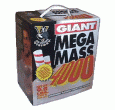  | Giant Megamass 4000 | WEIDER