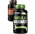   | Tribulus Maximus | Bio Tech